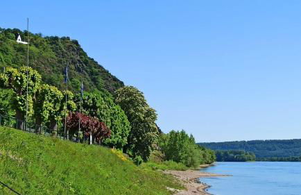 Ferienwohnung Neli am Rhein - Foto 45