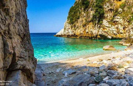 House of Gardenia - Foto 92