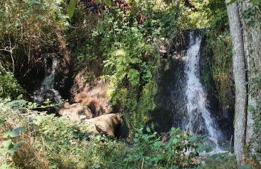 Maison Belle Vue - Foto 59