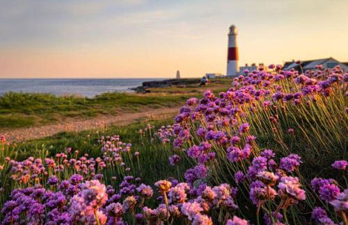 Luxurious Beach House Chesil Beach. Sleeps 6 - Photo 42
