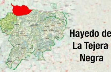 Refugios Del Valle Negro - Foto 55