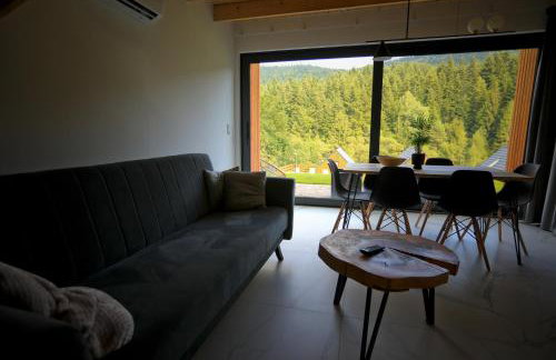 Gwiazda Mogielicy basen & balia, sauna - Foto 52
