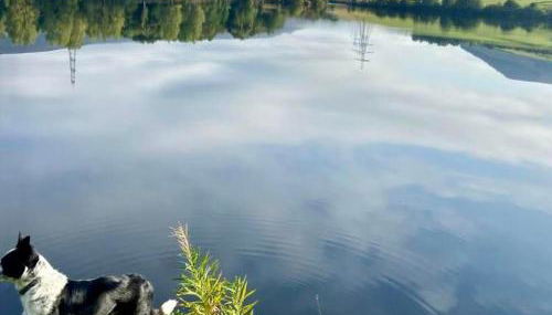 Peak Cottage - Foto 5