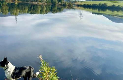 Peak Cottage - Foto 5