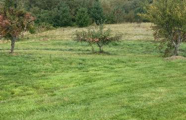 PNW Scenic Loft with Kitchenette - Foto 31