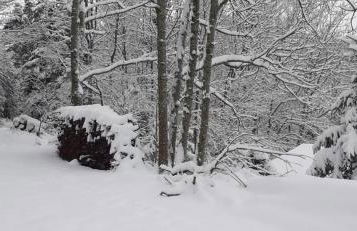 NORDIQUES DE LA WELCHE - Foto 21