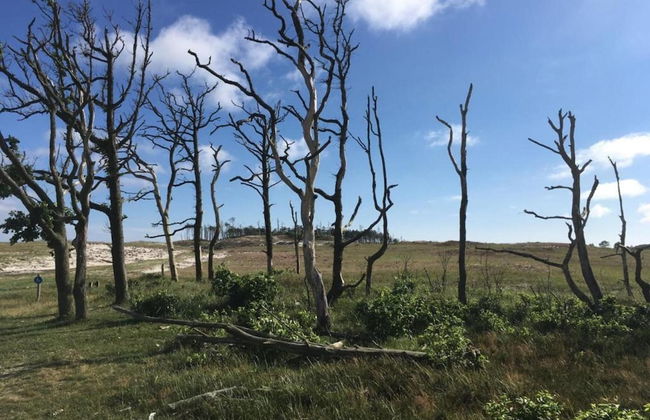 Peaceful Dune Retreat With Garden - Foto 31