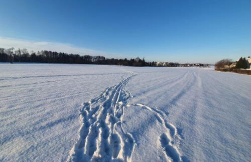 Anni's Waldblick - Foto 26