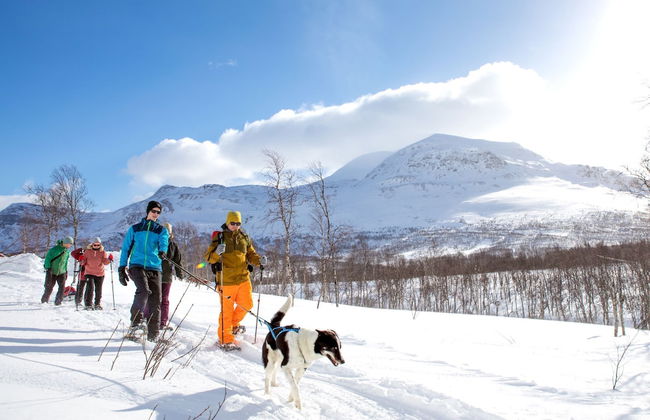 Lapphaugen turiststasjon - Foto 20