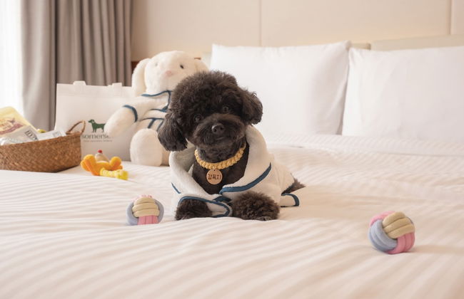 Somerset Jeju Shinhwa World - Foto 17