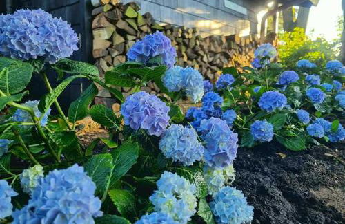 Ferienhaus Vogelsbergblick, Fernblick, Sauna, Kamin, 1700m eingezäunt in Alleinlage - Foto 7
