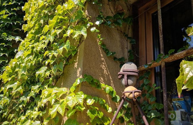 El Corral de Concilio - Foto 52