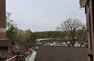 Appartement RIS ORANGIS - Foto 10