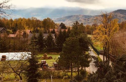 Czerwony Dworek 8 - Agroturystyka Karkonosze - Foto 43