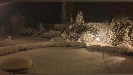 Ihre Auszeit am Golfplatz - Foto 5