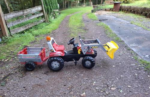 Ferienhaus Hochwald - Foto 24