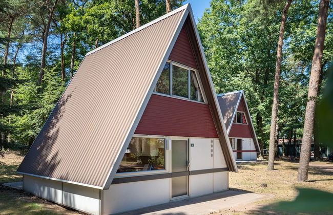 Bungalow in Bospark 't Wolfsven Near Nature - Photo 18