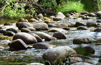 Casa Lagar Da Alagoa - Foto 10