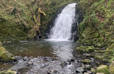 The Burrow - Foto 27