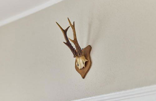 Neu!!! Moselbleibe Altes Forsthaus - Foto 17