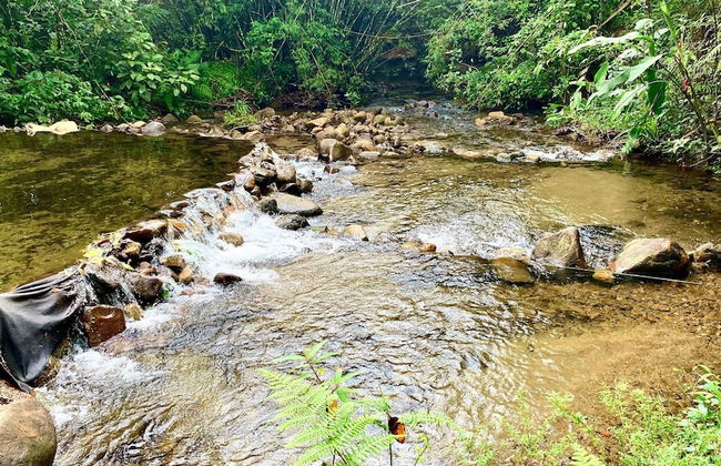 Casa Massaguaçú - Foto 51