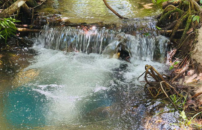 Escursione alla riserva indigena Potiguara - Foto 8