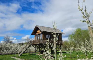 Baumhaus Heuhütte - Foto 24