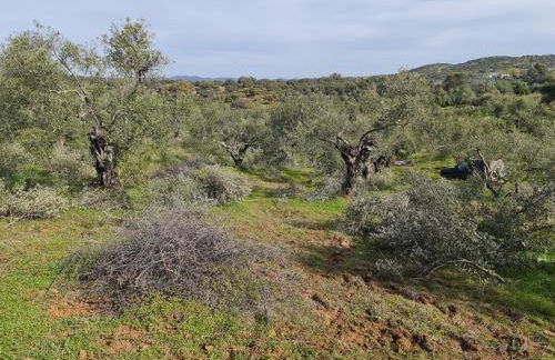 La Casa de Madera - Photo 34