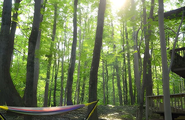 Autumn Wings - A Natural Retreat - Foto 28