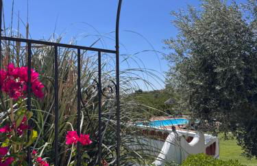 Herdade Da Maridona - Agroturismo - Foto 4