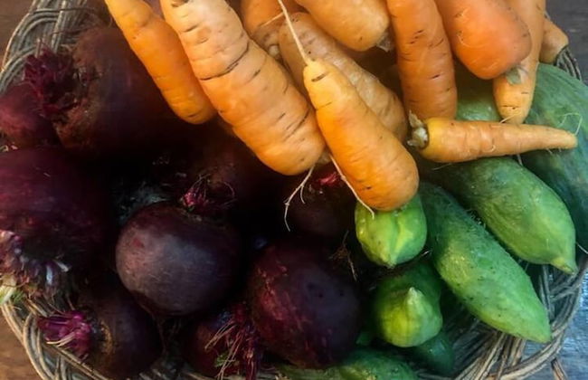 Inviting 10-bed Villa in Urubamba, Cusco, Peru - Foto 27