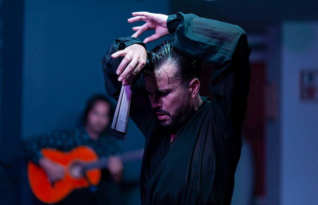 Espetáculo de flamenco no Alegría - Foto 7