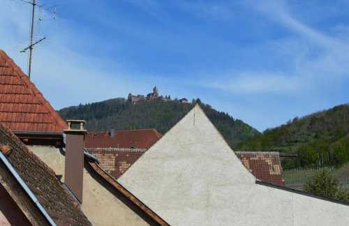 Au cœur du vignoble Alsacien - Foto 18