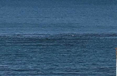 SEA4USALERNO seafront - Photo 42