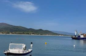 Vicky's house - Photo 25