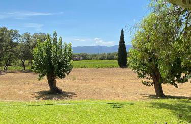 Villa provençale familiale avec piscine - Photo 11