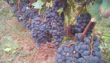 A Nosa Casa 2 - Foto 2