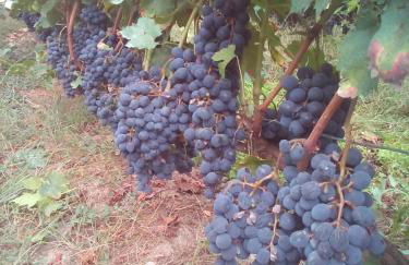 A Nosa Casa 2 - Foto 2