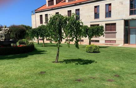 APARTAMENTO MARISMAS DA LANZADA- Playa de La Lanzada - Foto 30