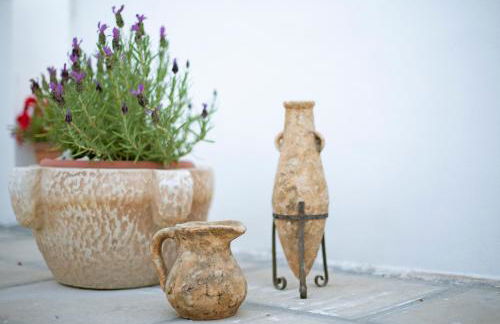 Palestro 5 - Foto 26