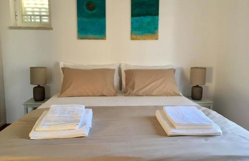 Romã do Meco - Foto 10