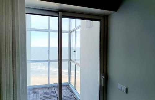 Cavalos de Ofir - Photo 18