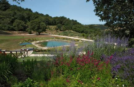 Sasseta Alta - Foto 41