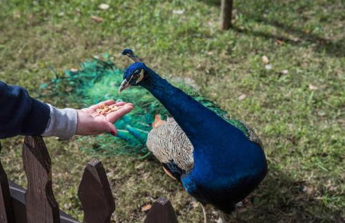 Old Town Secret Chef - Foto 25