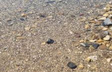 Grahl´s Ferienwohnung - Foto 50