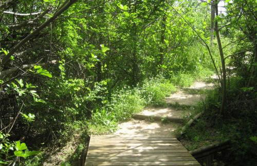 Beautiful Alamedas, un santuario donde el tiempo se detiene - Foto 49