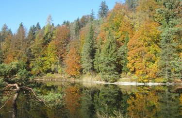 Ferienwohnung Litterscheid - Foto 3