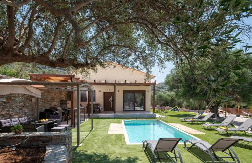 Eleolithos Villa olive & pool - Foto 4