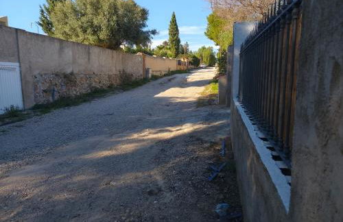 Finca La Senorita - Foto 4