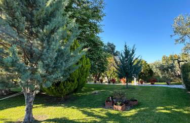 Viki Studios - Foto 13